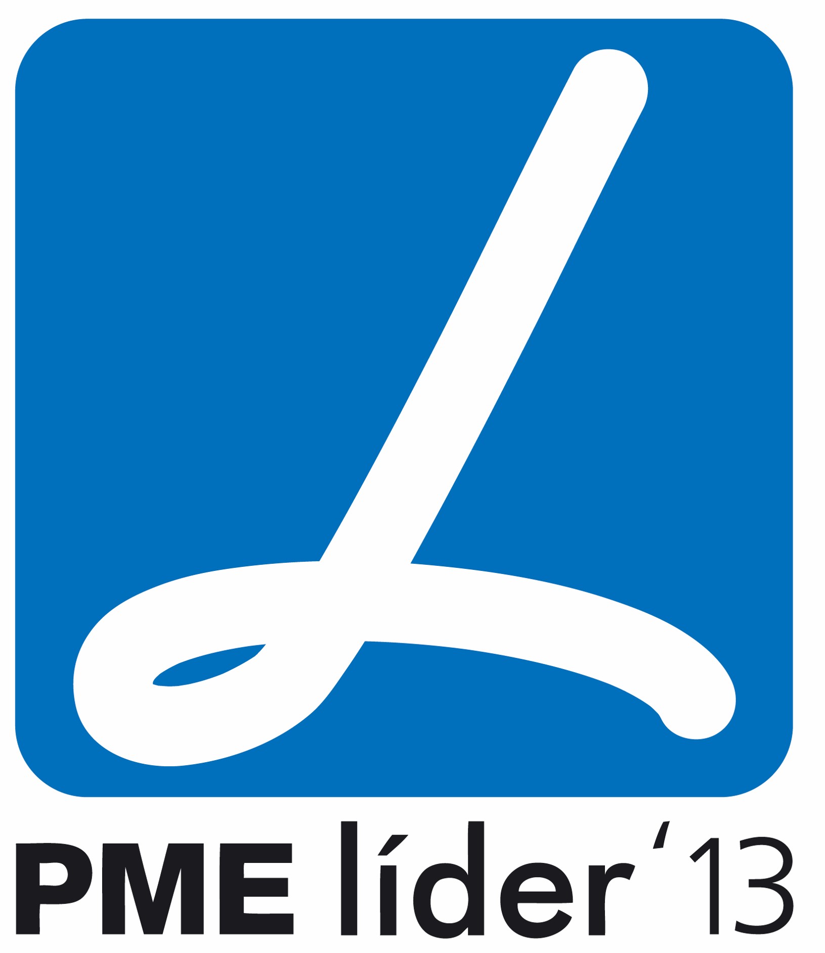 PME Líder 2013